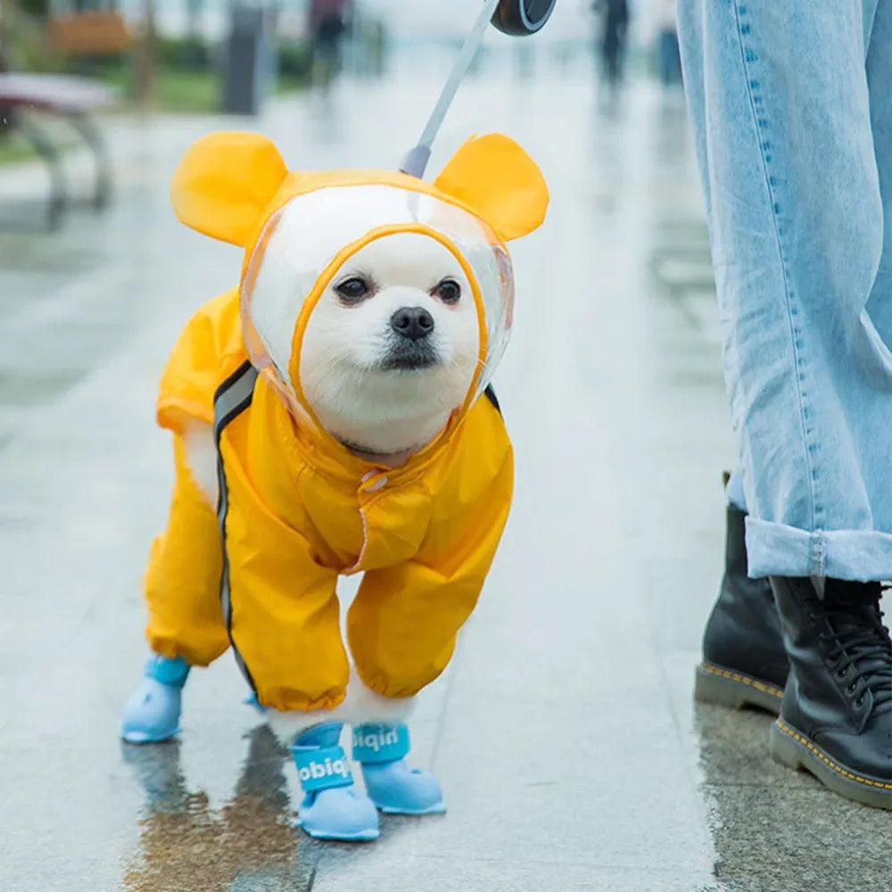 Dog walking in rain wearing yellow bear raincoat and rainshoes