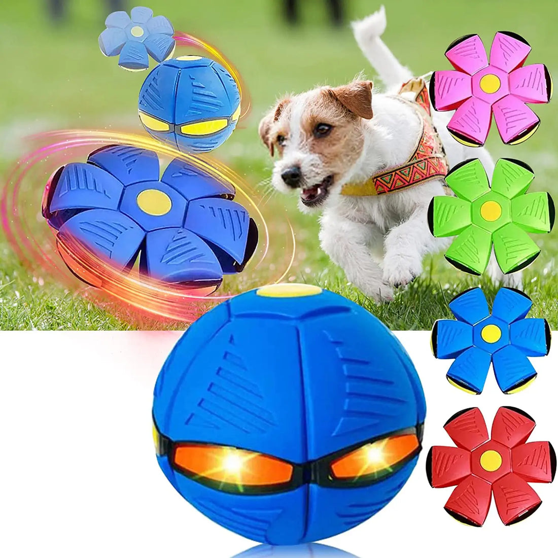 Saucer Sprint Dog Ball