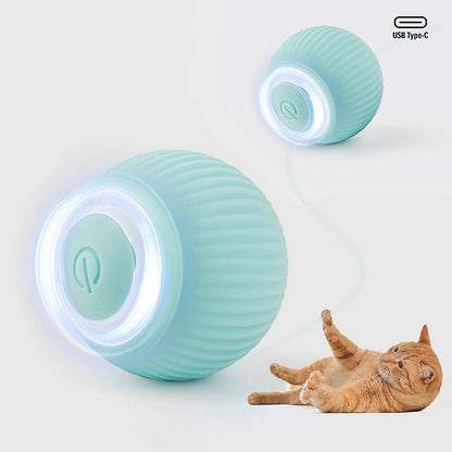 Cat Roller Ball