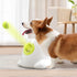 Fetch Pro Tennis Launcher