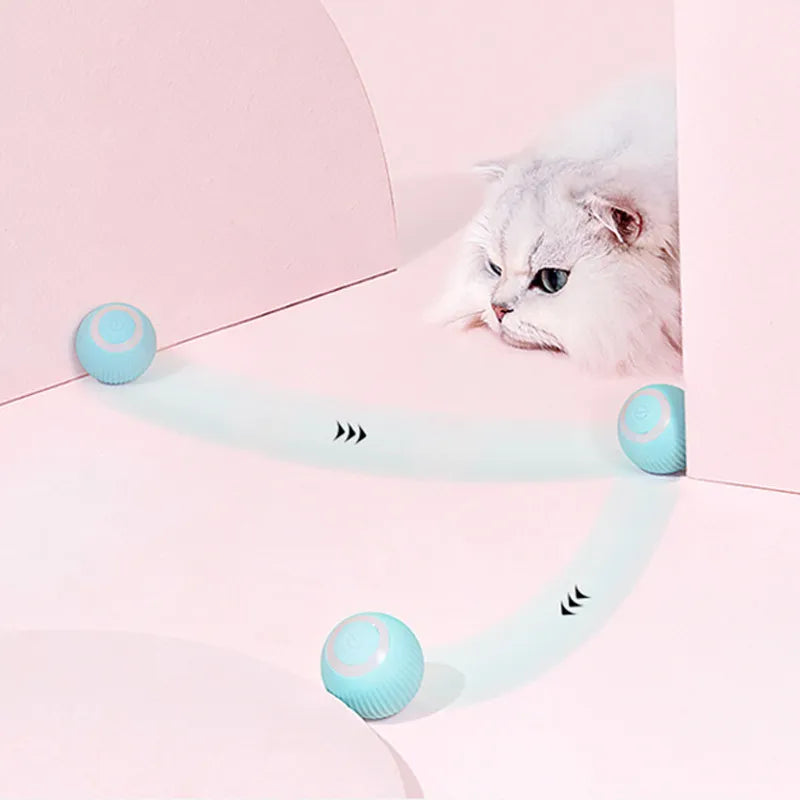 Cat Roller Ball